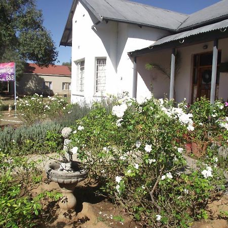 Lavender Rose Panzió Bethulie Kültér fotó