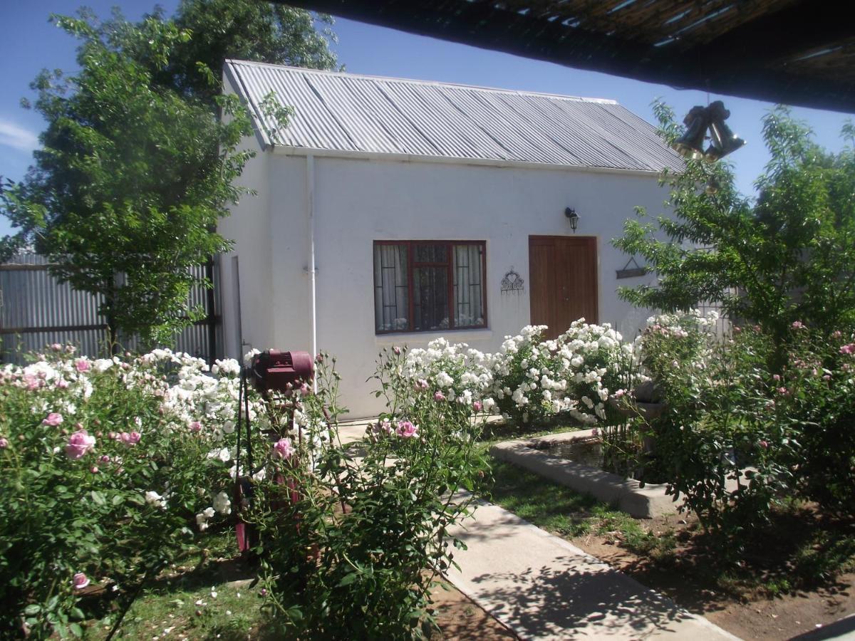 Lavender Rose Panzió Bethulie Kültér fotó