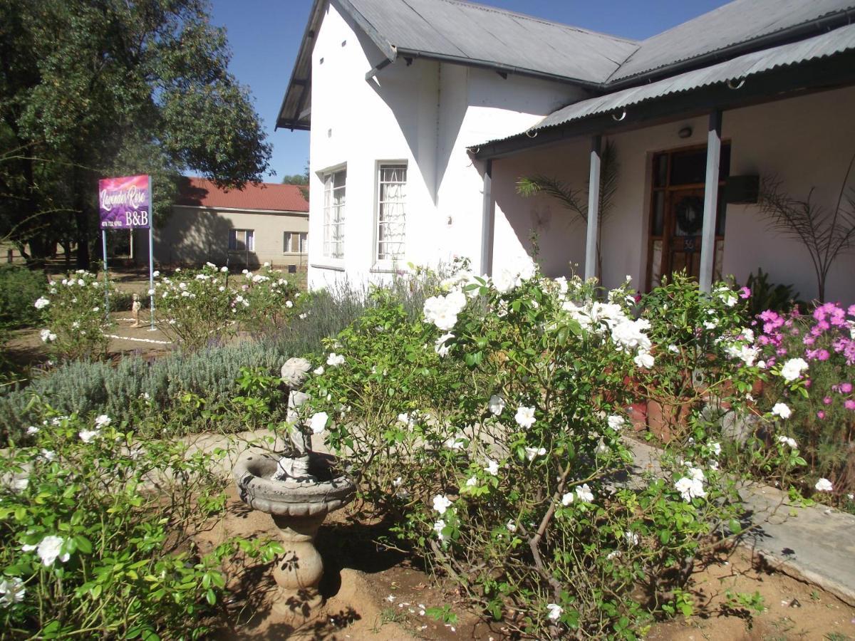 Lavender Rose Panzió Bethulie Kültér fotó